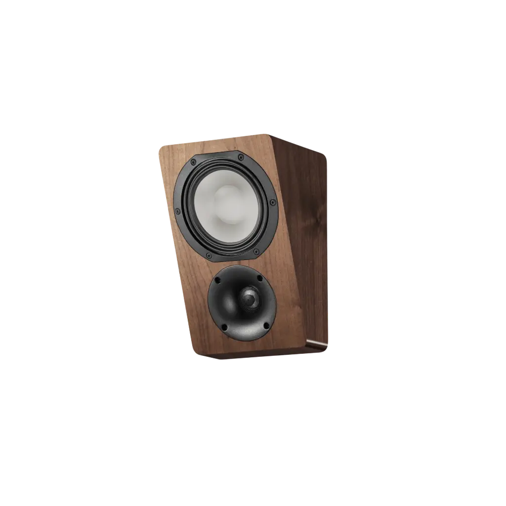 Canton AR 5 Walnut